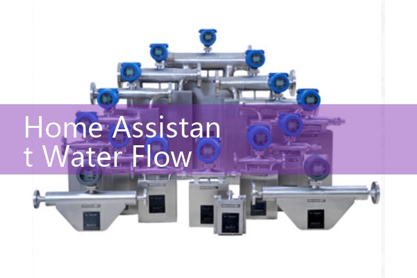 Home Assistant Water Flow Meter Dashboard: Tracking Daily Liters and Leak Alarms in Real-Time